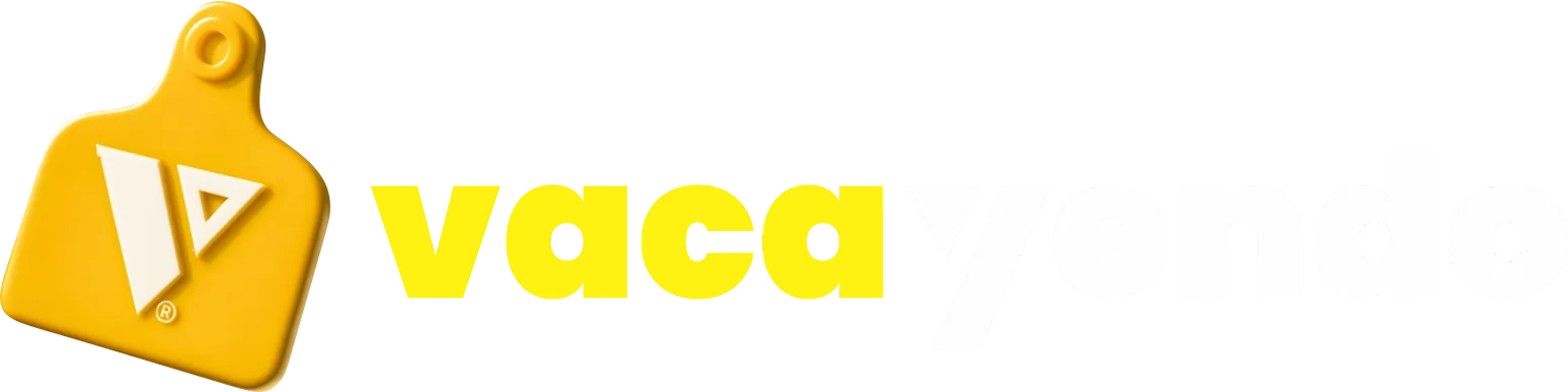 Vacayendo